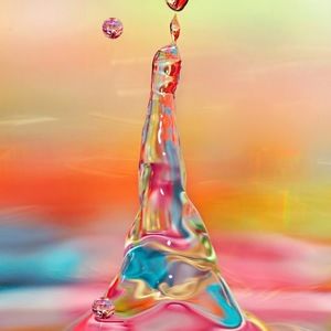 Meet your Posher, Ava